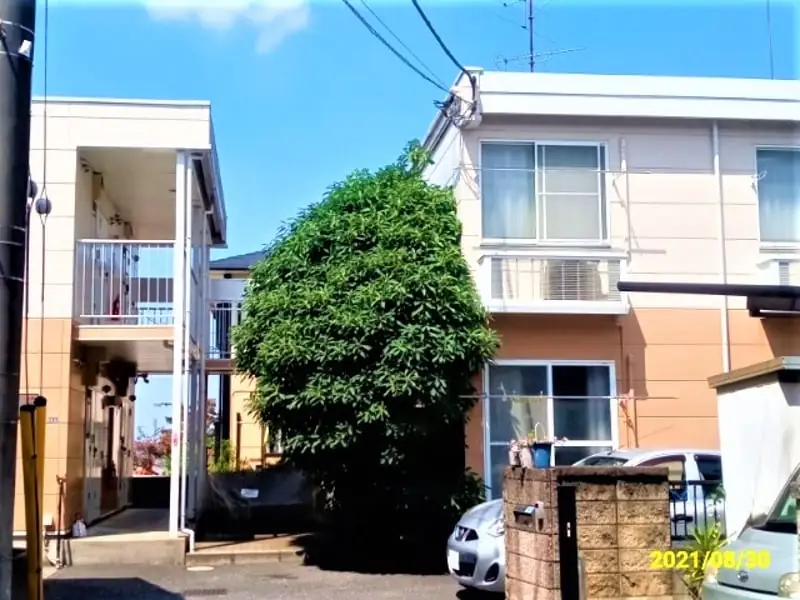 レオパレスｙａｎａｇｉの写真（建物共通の資料掲載例）