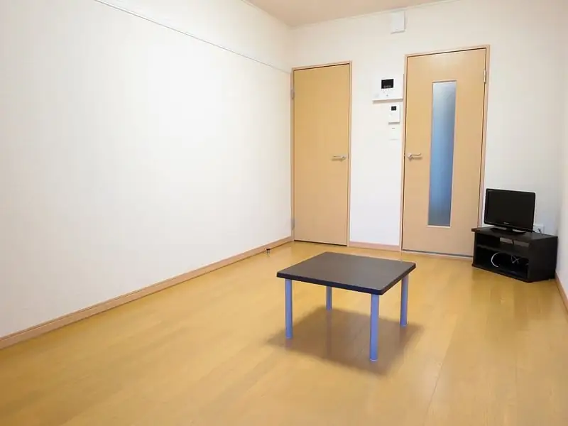 レオパレスプレーヌⅢの写真（101号室の資料掲載例）